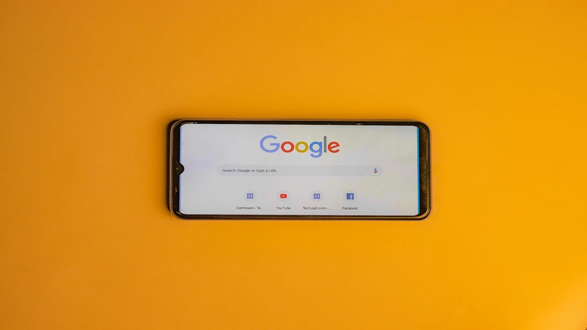 How to Use Your Google Home Hub to Save More Energy 1 pexels theshantanukr 16564263 1