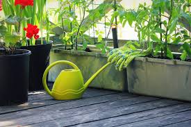 Small Space Vegetable Gardening