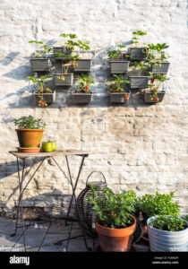 Small Space Vegetable Gardening