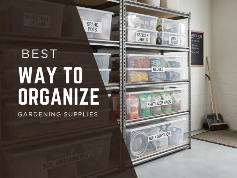 How to Organize Gardening Supplies in Bins: A Guide That Actually Sticks 2 How to Organize Gardening Supplies in Bins: A Guide That Actually Sticks
